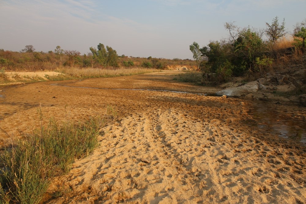 A photograph of a desert dirt road with lots of footprints in the sand.