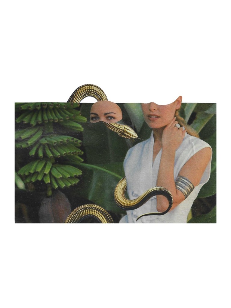 A collage of a woman whose eyes are cut out and pasted atop a snake.